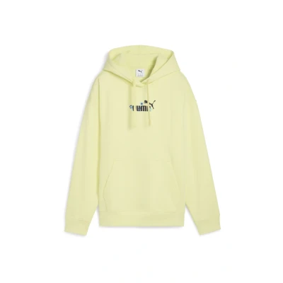 Afbeelding van Puma Nature Comfort Hoodie, Dames, Maat: XXS, Gold moon