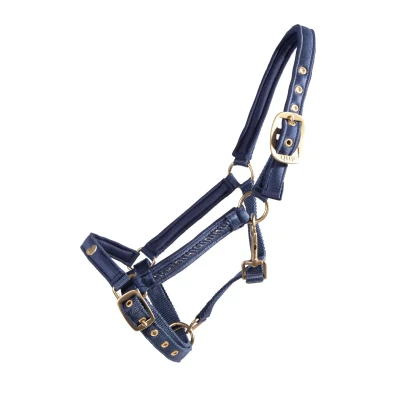 Image de QHP Foal Halter Lily