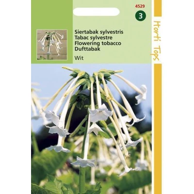 Afbeelding van Nicotiana Sylvestris wit Hortitops