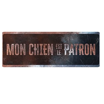 Afbeelding van D&amp;d Home Waakbord Hond Waarschuwingsbord General 1 Frans 40x13x0,3cm Meerkleurig 1st