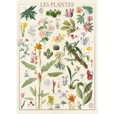 Afbeelding van Nathan puzzel 1500 stukjes Planten Nationaal Natuurhistorisch Museum Volwassenen en kinderen vanaf 14 jaar Hoogwaardige Nostalgie collectie 12000931