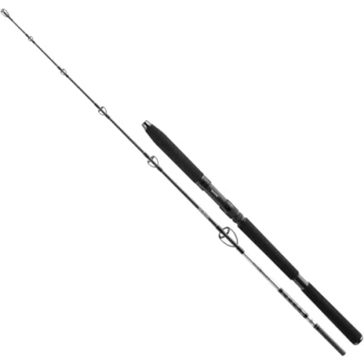 Image de Canne Bateau Daiwa BG Jigger Spin 1.70m (150 400g) mer