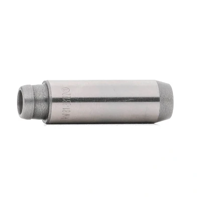Afbeelding van TRW Engine Component 81 33122 Klepgeleider Gietijzer met hoog Fosfor gehalte VOLKSWAGEN: Polo IV Hatchback, Golf 5, 4, AUDI: A4 B6 Saloon