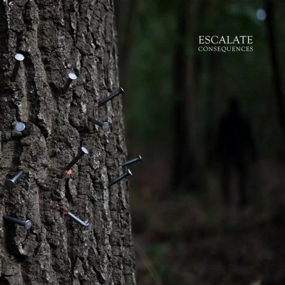 Afbeelding van Escalate Consequences (LP)