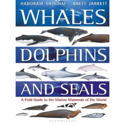 Image de WHALES, DOLPHINS AND SEALS