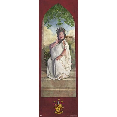 Afbeelding van Poster Harry Potter Gryffindor Password 53x158cm