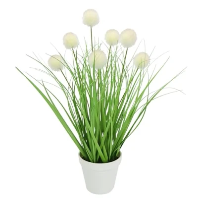 Afbeelding van Knoopsgatgras in pot Groen Kunstgras Decoratieve plant Decoratief gras Grassamenstelling Haren gierst Panicoideae Setaria
