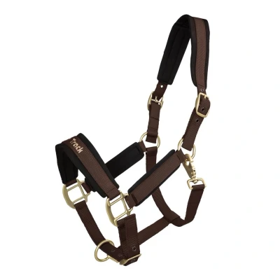 Image de Back on Track Licol Werano Marron Poney