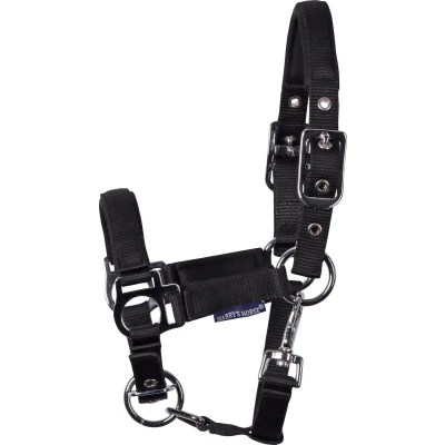 Afbeelding van Harry&#039;s Horse Veulenhalster Padded Zwart Mini Veulen