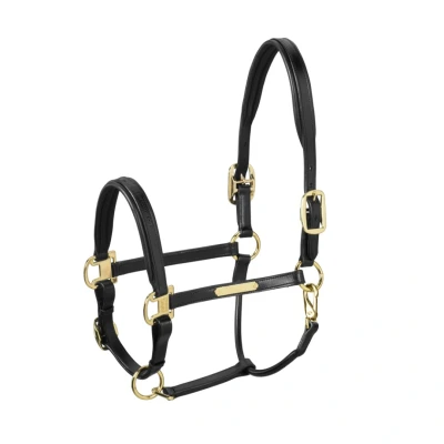 Image de Eskadron Licol Elegance Leder Noir Full