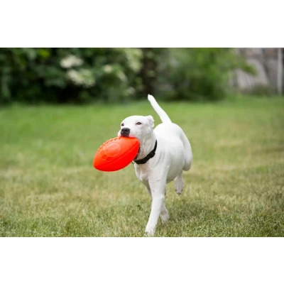 Afbeelding van Jolly Ball Football Oranje