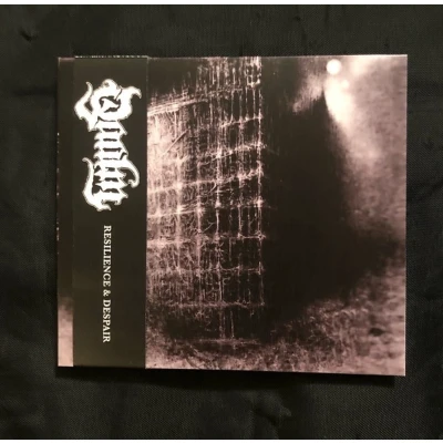 Afbeelding van Qaalm Resilience &amp; Despair (2 LPs)