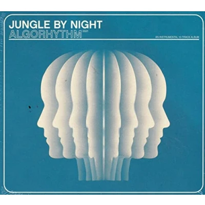 Afbeelding van Jungle By Night Algorhythm