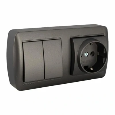 Afbeelding van Dubbele Stopcontact + Schakelaar Basis Solera Mural 2p+t 250 V 16 A Grafiet