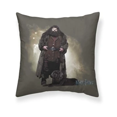 Afbeelding van Kussenhoes Harry Potter Hagrid 50 x cm