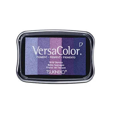 Afbeelding van Rayher Versacolor Stempelkussen, 5 kleuren, paars, 4,7 x 7,5 cm