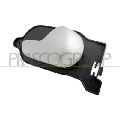 Afbeelding van PRASCO FD3408607 Deurgrepen Binnen, Rechts achter, voor Beige FORD: FIESTA 5