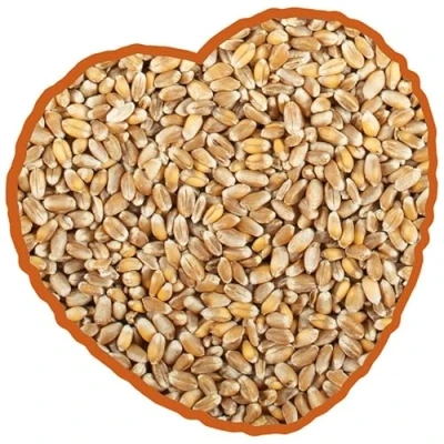 Afbeelding van Duvoplus Kippenvoer Kip Tarwe Extra 20kg 1st