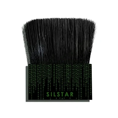 Afbeelding van SILSTA MATRIX Audio Record Anti Static Brush