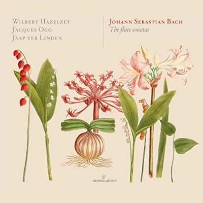 Afbeelding van Hazelzet, Ogg, Ter Linden The Flute Sonatas (2 CD)