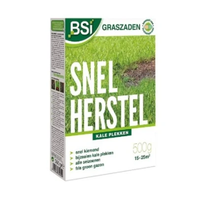 Afbeelding van Bsi Graszaad Herstel Graszaden 15 25 m2 500 g
