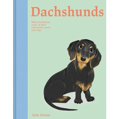 Afbeelding van Illustrated Dog Care Dachshunds