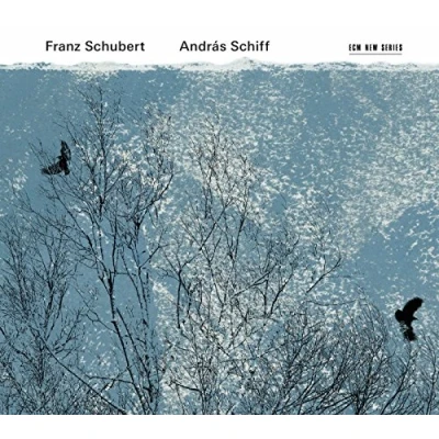 Afbeelding van András Schiff Franz Schubert (2 CD)