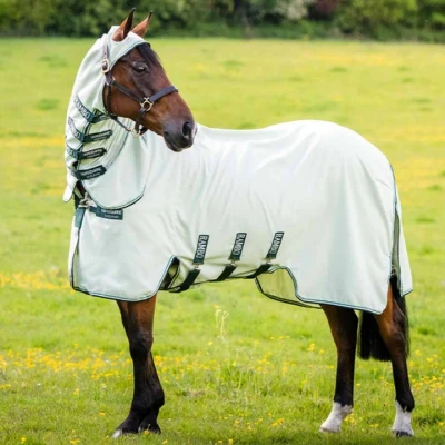 Afbeelding van Rambo Hoody Groen/Sage/Beige 160/213