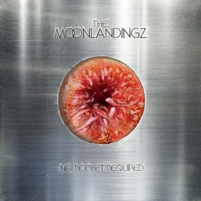 Afbeelding van The Moonlandingz No Rocket Required (CD)