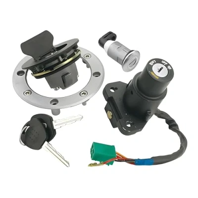 Afbeelding van Vicma Lock Set voor Hyosung GT 125 650 CC