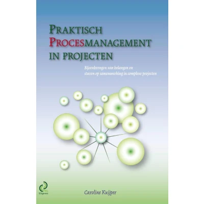 Afbeelding van Praktisch procesmanagement in projecten