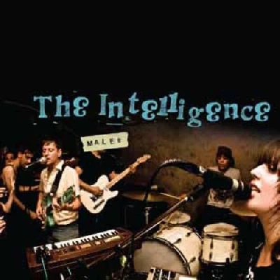 Afbeelding van Intelligence Males (CD)