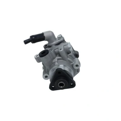 Afbeelding van Bosch Servopomp K S02 000 073
