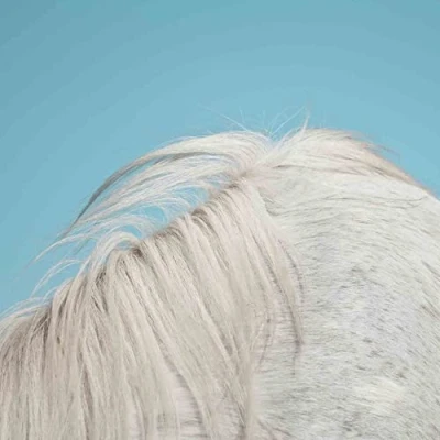 Afbeelding van Widowspeak All Yours