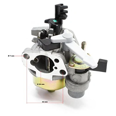 Afbeelding van LIFAN Reserveonderdeel voor benzine carburateur 6,5 pk krachtige 4 takt motor benzinemotor cilinderinhoud 196 cc compatibel met E10