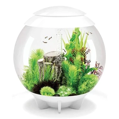 Afbeelding van biOrb Halo 60 MCR wit