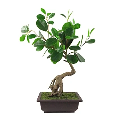 Afbeelding van Leaf Kleine kunstmatige bonsai