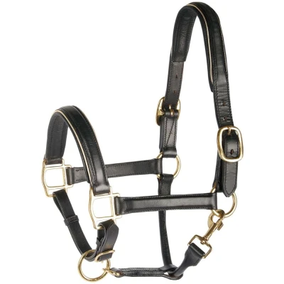 Afbeelding van Harry&#039;s Horse Halster leder, zwart met bies Pony Goud
