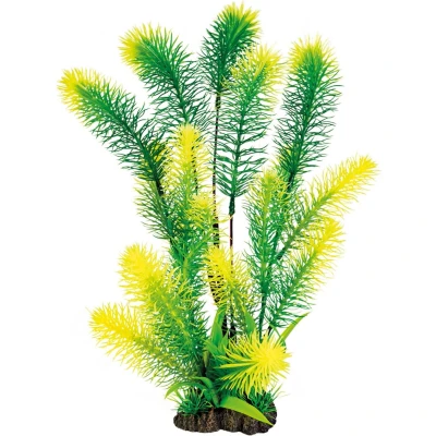 Afbeelding van Superfish Art plant Myriophyllum XL
