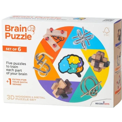 Afbeelding van Brainpuzzel Set van 6, Recent Toys FSC