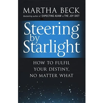 Afbeelding van Steering By Starlight