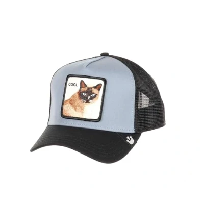 Afbeelding van Goorin Bros Trucker V2 COOL CAT Pet, Heren, Maat: One Size, Slate