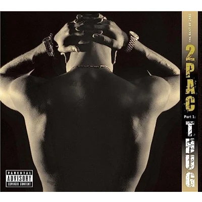Afbeelding van Tupac Best Of 2Pac Pt 2:..