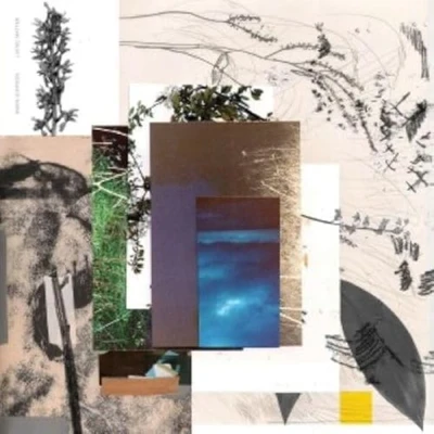 Afbeelding van Mara Simpson Living Matter (LP) (Recycled Coloured Vinyl)