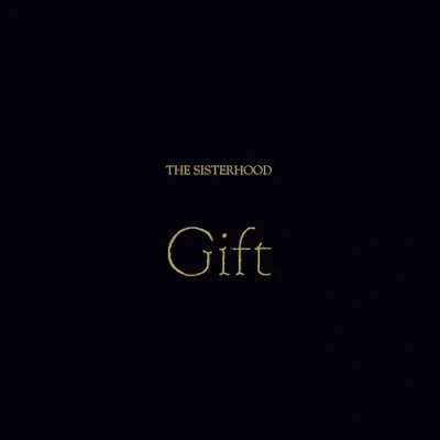 Afbeelding van Sisterhood Gift (LP)