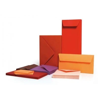 Image de Etui de 25 feuilles Pollen A4 Clémentine 210g