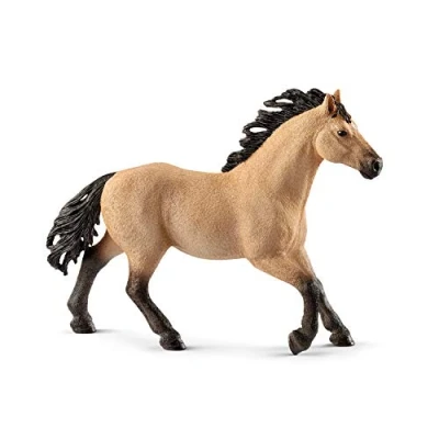 Afbeelding van Quarter Horse Hengst