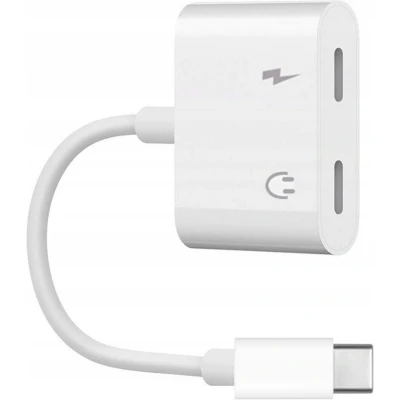 Afbeelding van Co2® Adapter USB c naar Kabel 2x Snelladen DAC