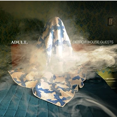 Afbeelding van Detroit House Guests (LP)
