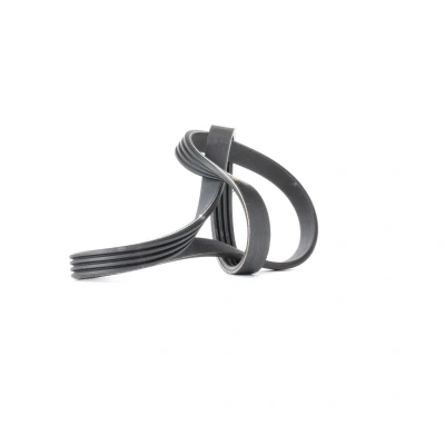 Afbeelding van Blue Print Poly V riem AD04R813